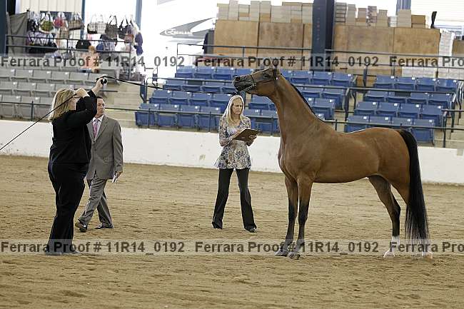Proof 11r14_0192