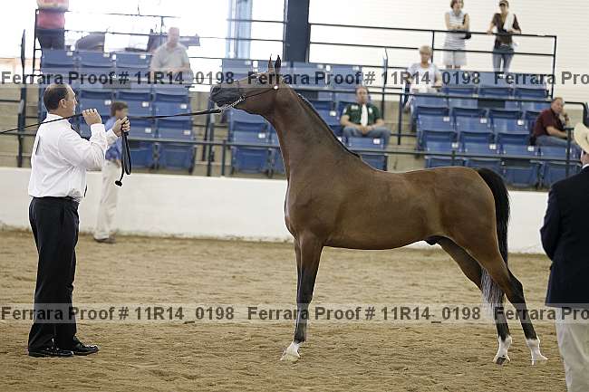 Proof 11r14_0198