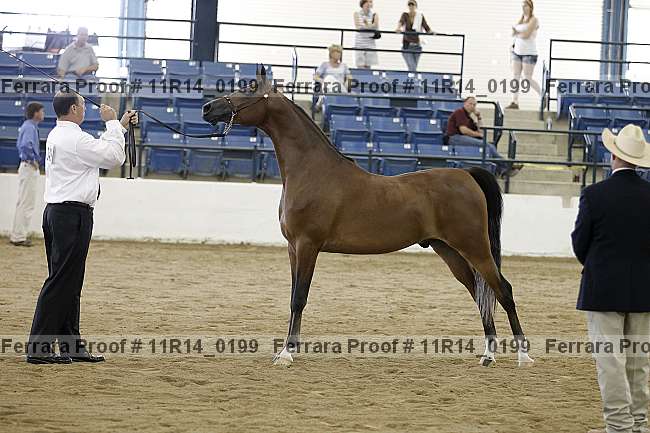Proof 11r14_0199