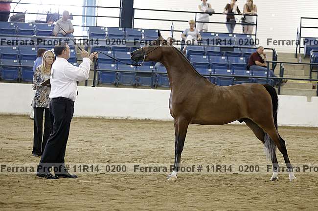 Proof 11r14_0200