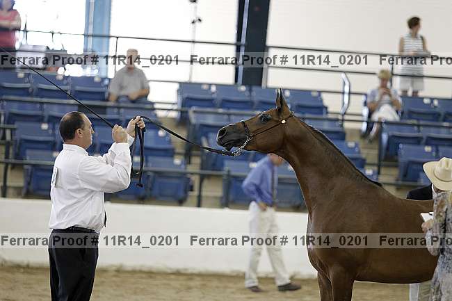 Proof 11r14_0201