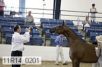 11r14_0201 proof