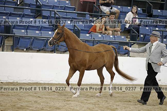 Proof 11r14_0237