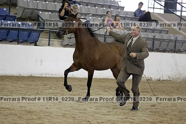 Proof 11r14_0239