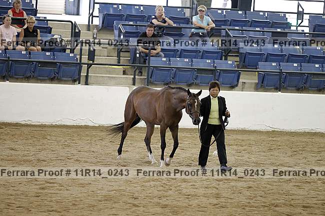 Proof 11r14_0243