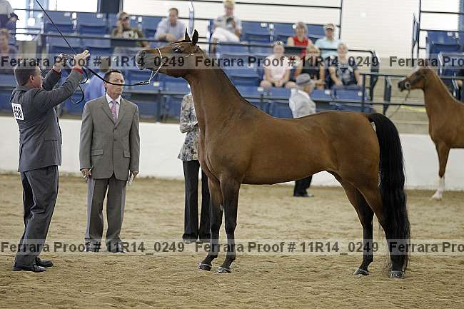 Proof 11r14_0249
