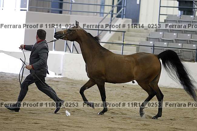 Proof 11r14_0253