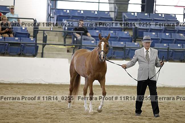 Proof 11r14_0255