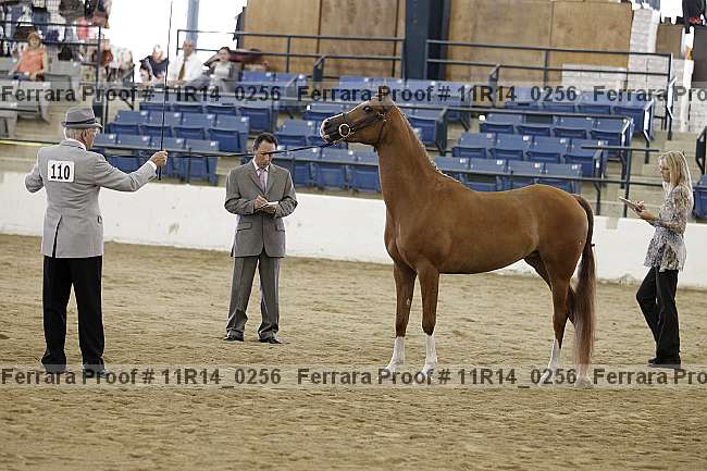 Proof 11r14_0256