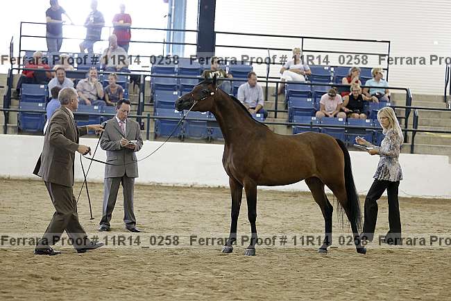 Proof 11r14_0258