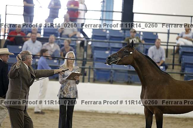 Proof 11r14_0260