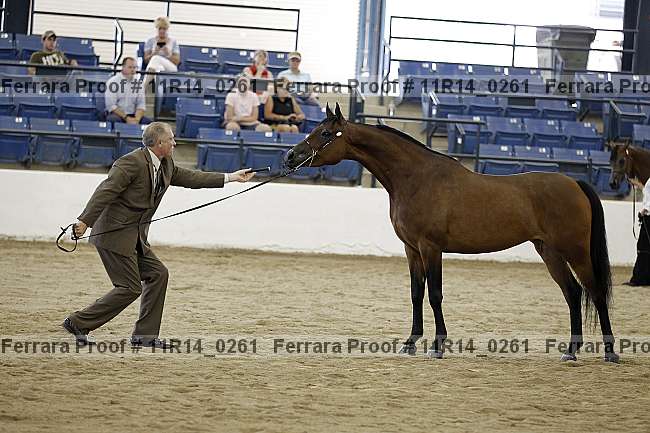 Proof 11r14_0261