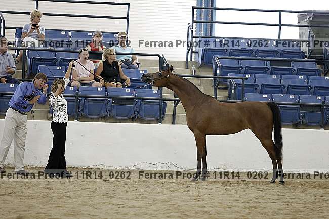 Proof 11r14_0262