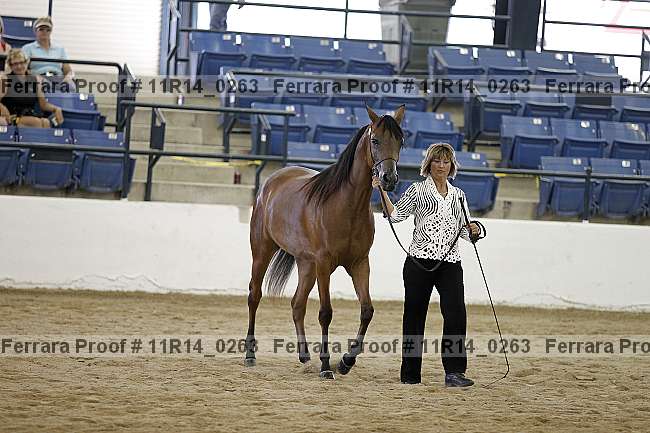 Proof 11r14_0263