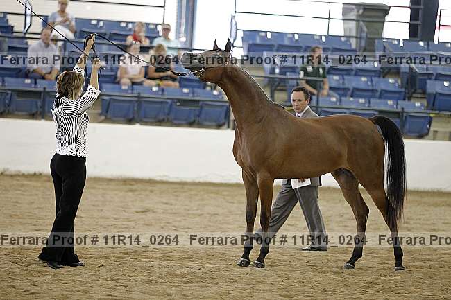 Proof 11r14_0264