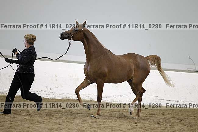 Proof 11r14_0280