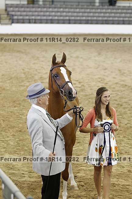 Proof 11r14_0282