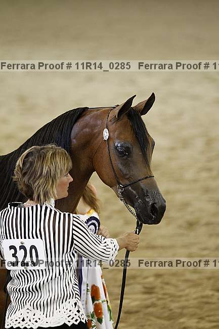 Proof 11r14_0285