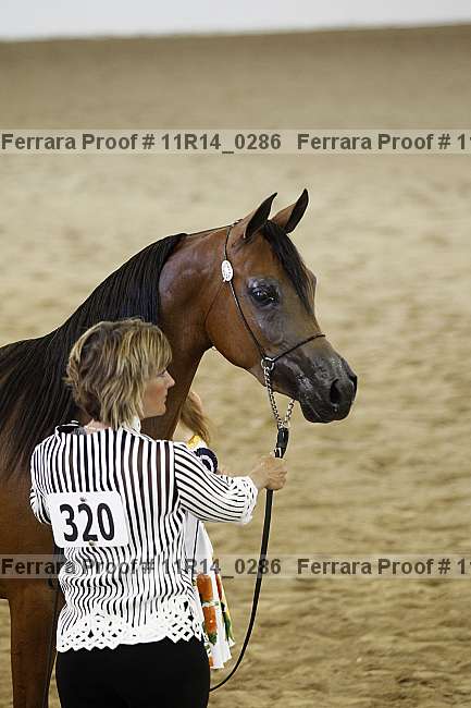 Proof 11r14_0286
