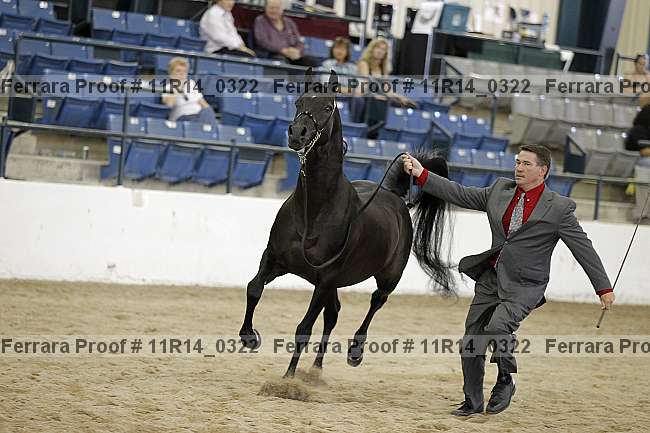 Proof 11r14_0322