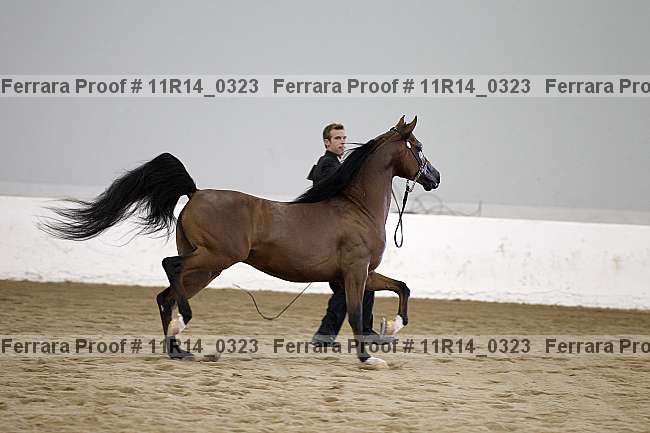 Proof 11r14_0323