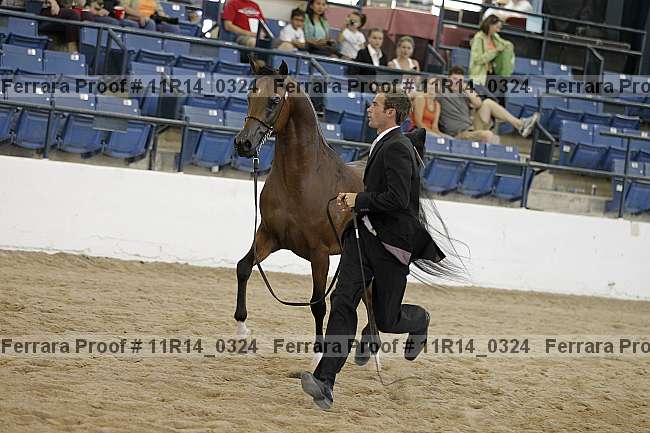Proof 11r14_0324