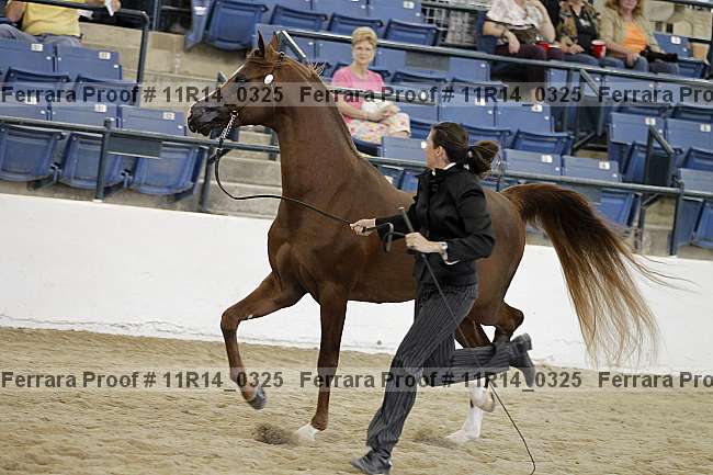 Proof 11r14_0325