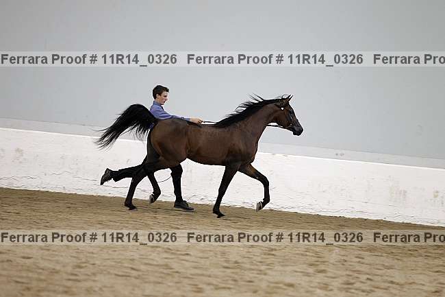 Proof 11r14_0326