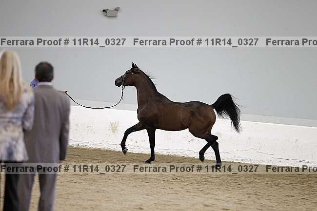 Proof 11r14_0327
