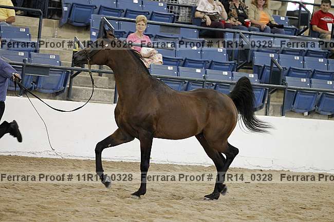 Proof 11r14_0328