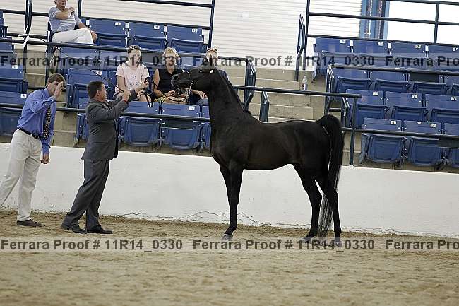 Proof 11r14_0330