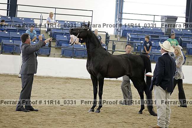 Proof 11r14_0331