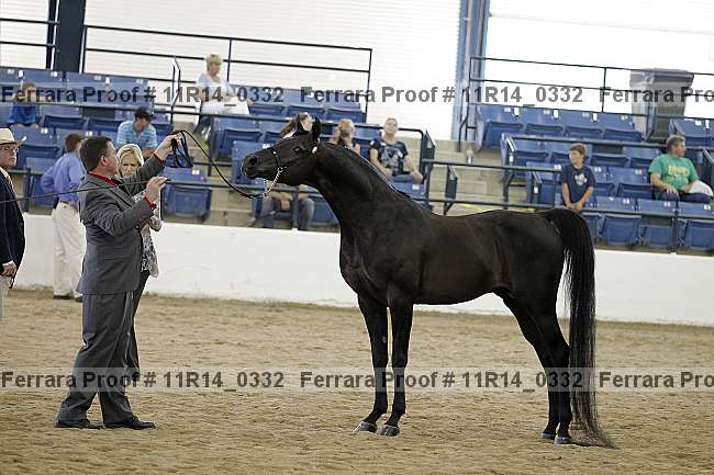 Proof 11r14_0332