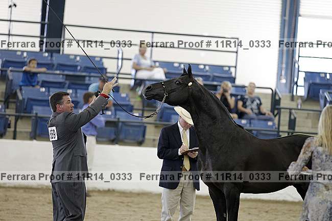 Proof 11r14_0333