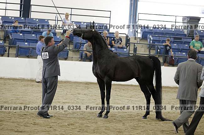 Proof 11r14_0334