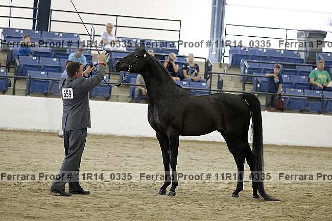 Proof 11r14_0335