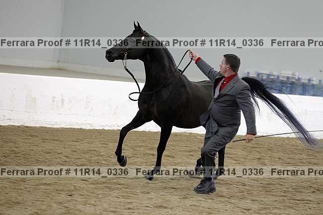 Proof 11r14_0336