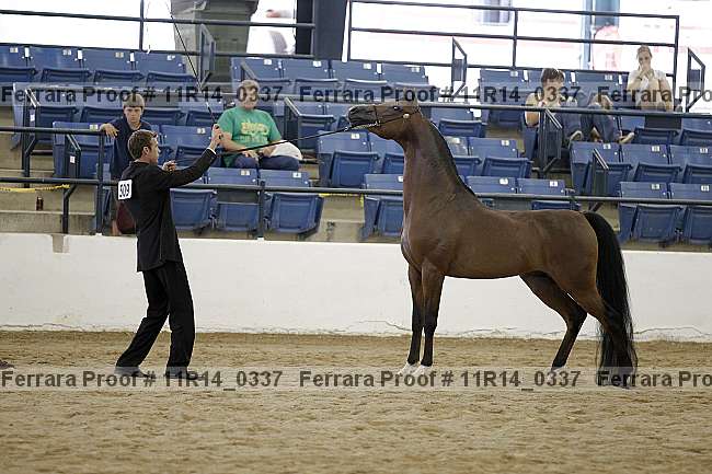 Proof 11r14_0337