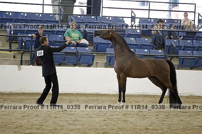 Proof 11r14_0338