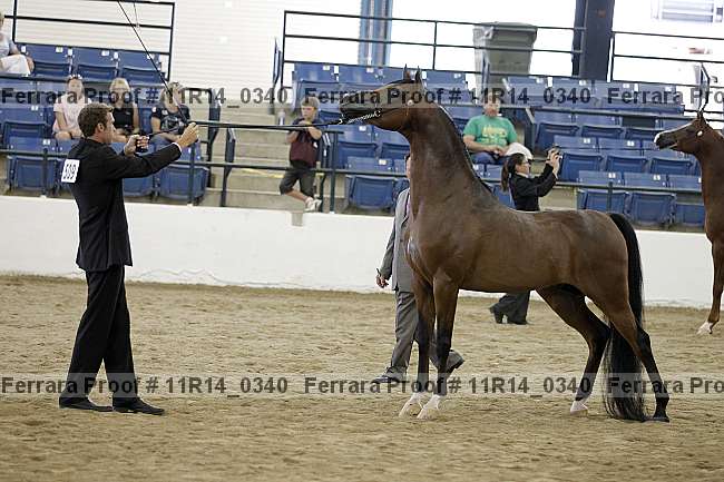 Proof 11r14_0340