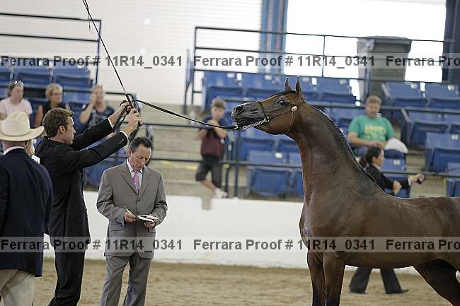 Proof 11r14_0341