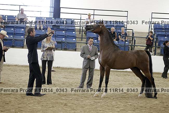 Proof 11r14_0343