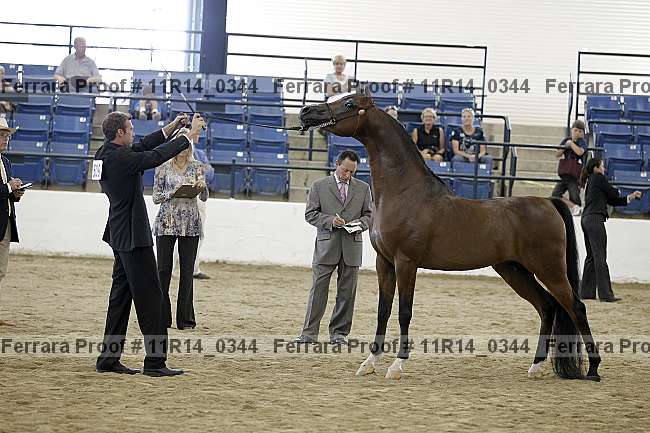 Proof 11r14_0344