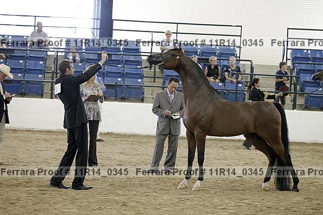 Proof 11r14_0345