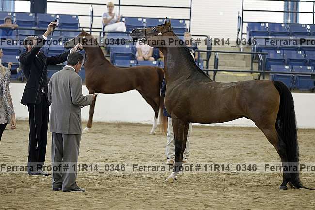 Proof 11r14_0346