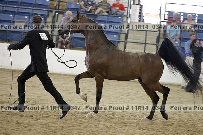 Proof 11r14_0347
