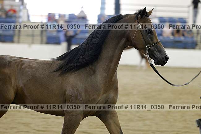 Proof 11r14_0350