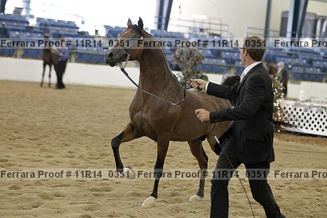 Proof 11r14_0351