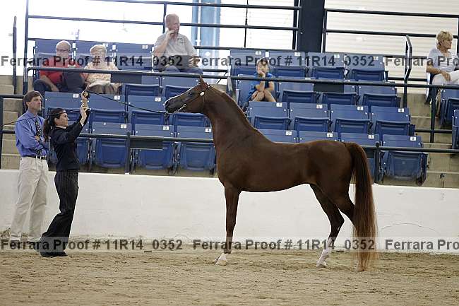 Proof 11r14_0352