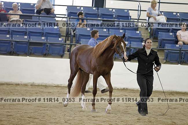 Proof 11r14_0353